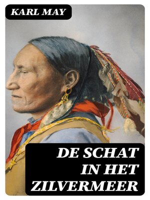 cover image of De schat in het Zilvermeer